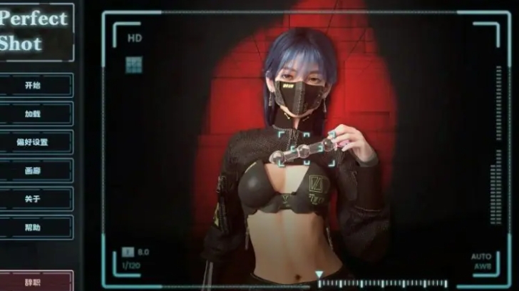 【PC/官中/步兵/欧美/3D/SLG游戏/640M】Perfect Shot Ver1.0 官中步兵版+欧美3DSLG游戏+640M